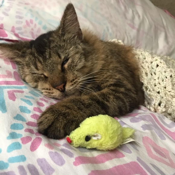 Meet your Posher, Daisha - Picture 1 of 1